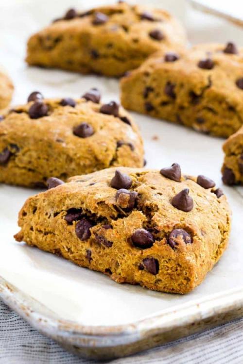 Pumpkin Scones with Chocolate Chips