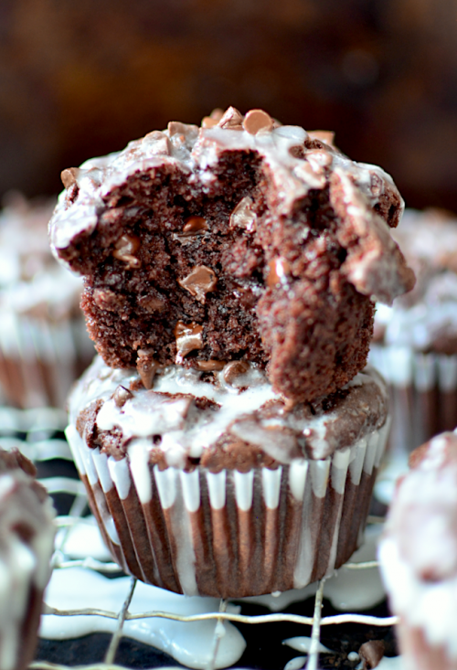 The Best Double Chocolate Muffins